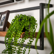 Alvero natuurlijke massief acaciahouten wandplank 30cm