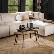 Metrona grijs metallic nier salontafel - set van 2