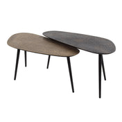 Metrona grijs metallic nier salontafel - set van 2