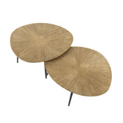 Rayven antiek goud organische salontafel - set van 2