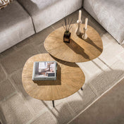 Rayven antiek goud organische salontafel - set van 2