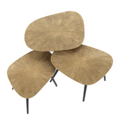 Rayven antiek goud rechthoekige salontafel - set van 3