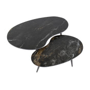 Fossira niervormige salontafel van zwart fossiel keramiek - set van 2