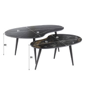 Fossira niervormige salontafel van zwart fossiel keramiek - set van 2