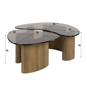 Velaro bronskleurige glazen organische salontafel - set van 2