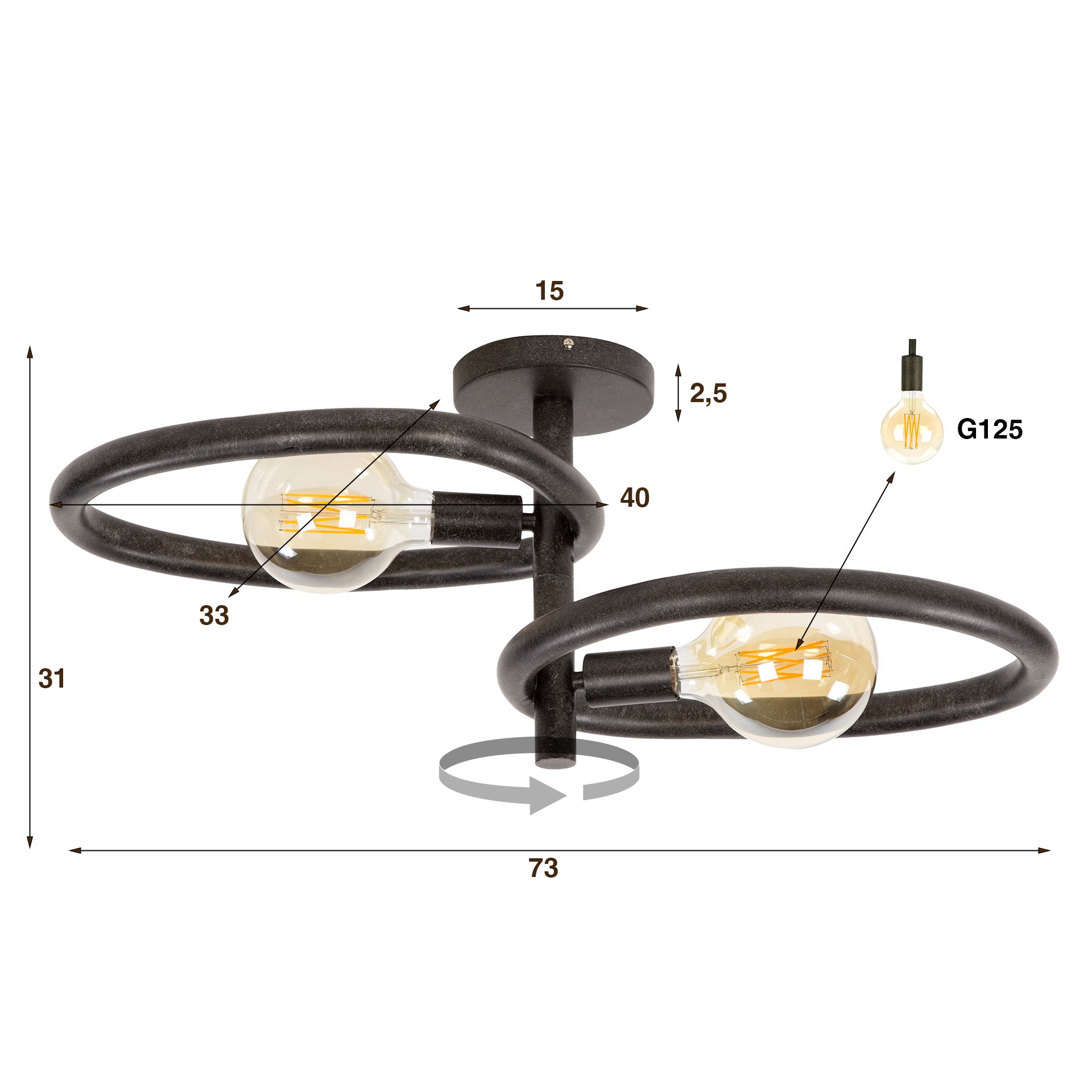 Pebira artic zwarte plafondlamp met 2 lichtpunten
