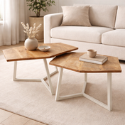 Parisa nesting coffee table set
